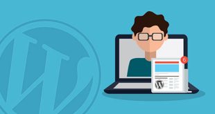 Cara Membuat Related Post di WordPress