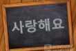 Bahasa Korea Aku Cinta Kamu Selamanya