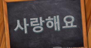 Bahasa Korea Aku Cinta Kamu Selamanya
