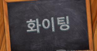 Bahasa Korea Semangat