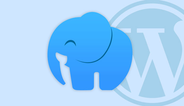 Cara Install WordPress di Laragon 01